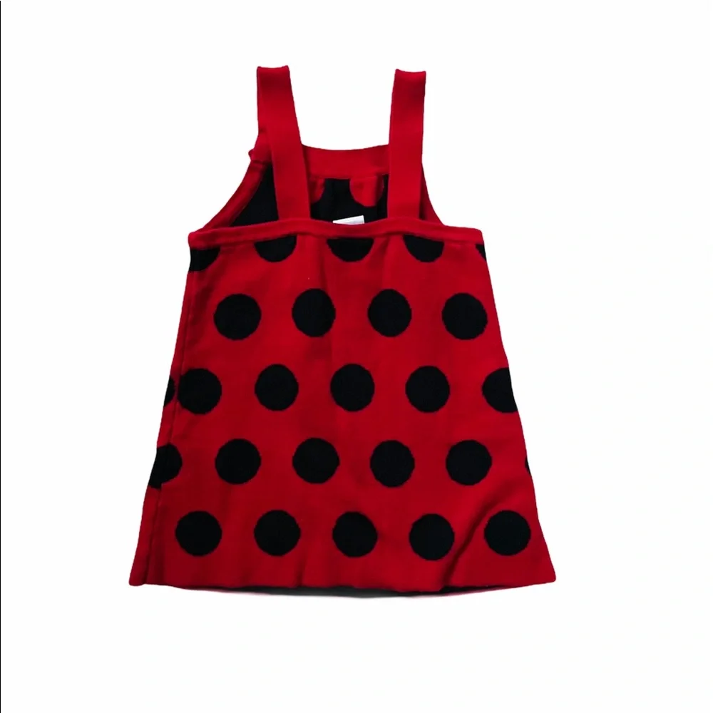 Gymboree Girls Size 18-24 Month Dress